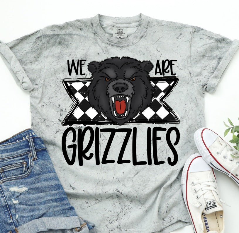 We Are Grizzlies School Spirit Sublimation or DTF Transfer