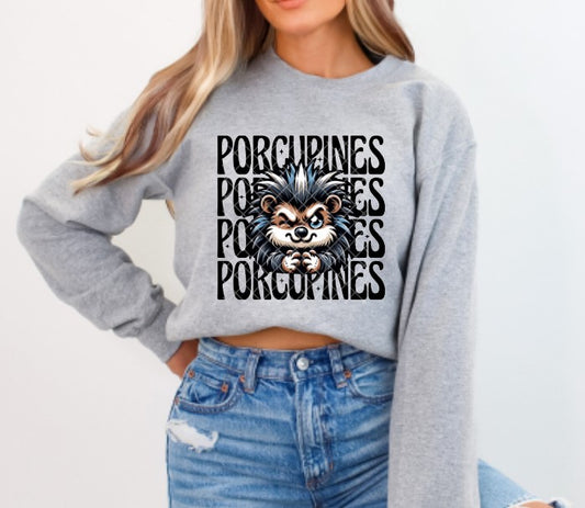 Porcupines Wink Eye Sublimation or DTF Transfers