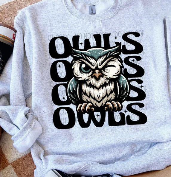 Owls Wink Eye Sublimation or DTF Transfers