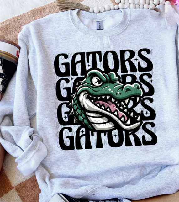 Gators Wink Eye Sublimation or DTF Transfers