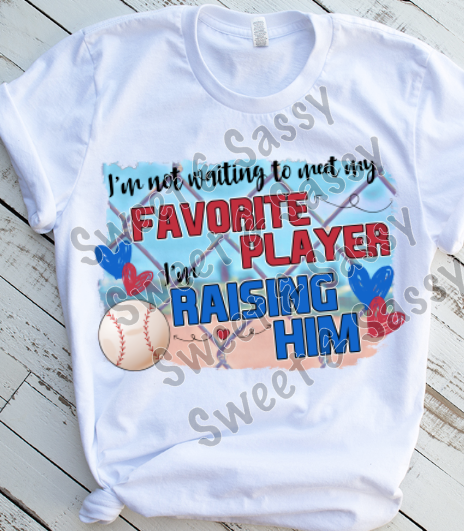 Raising my favorite player, baseball Sublimation Transfer