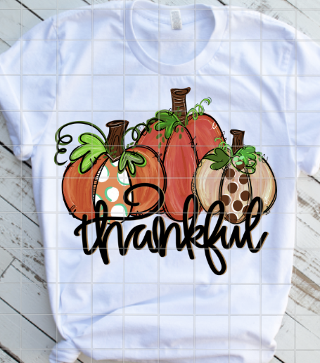 Thankful Pumpkins Sublimation Transfer